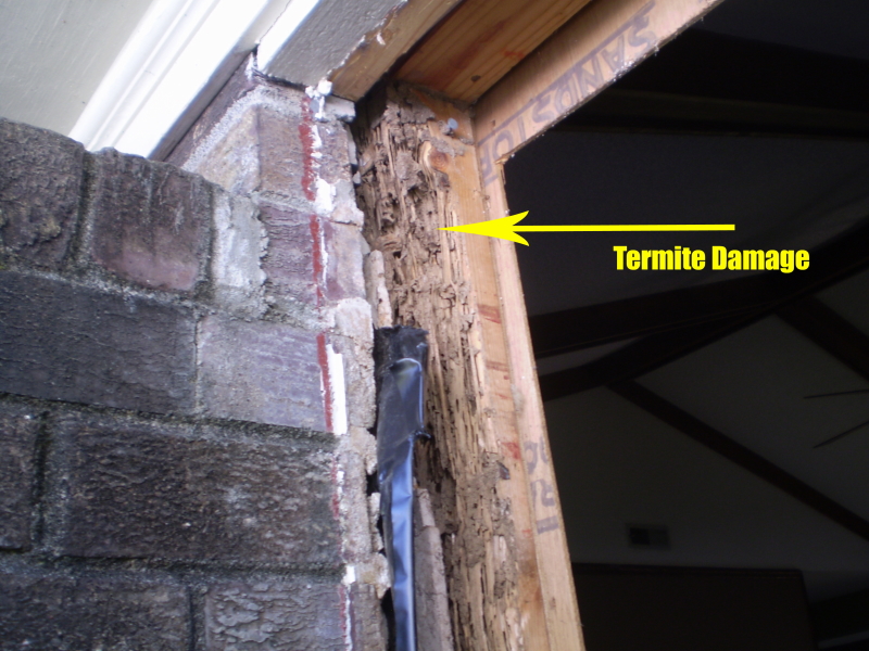 termite damaged door jamb